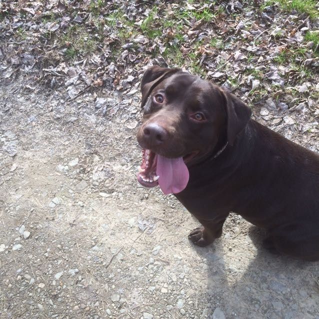 NWR: National Dog Day!