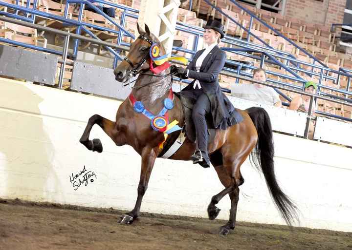 Horsey brides-thoughts on guest book