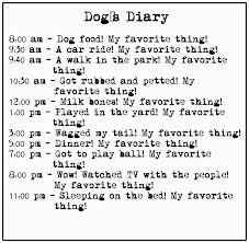 Rules and POSITIVITY!!!  :-D
