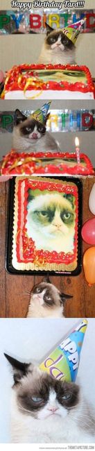 Spin off for animal lovers, happy thread