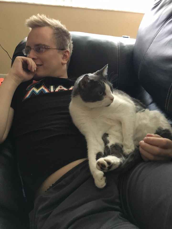 Fursday - Cats!