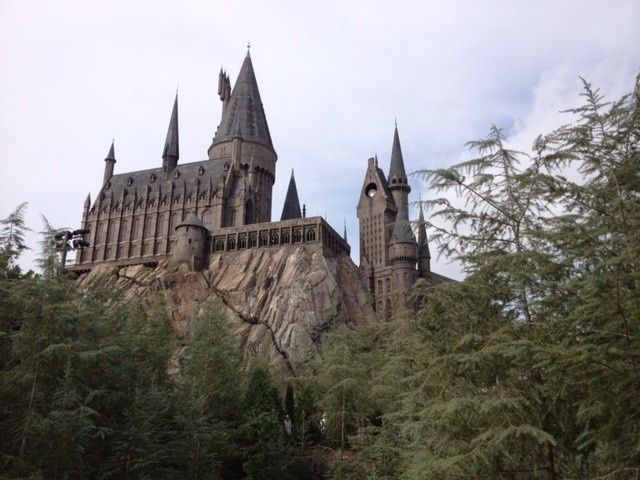 NWR: Anyone been to Universal's Harry Potter world?
