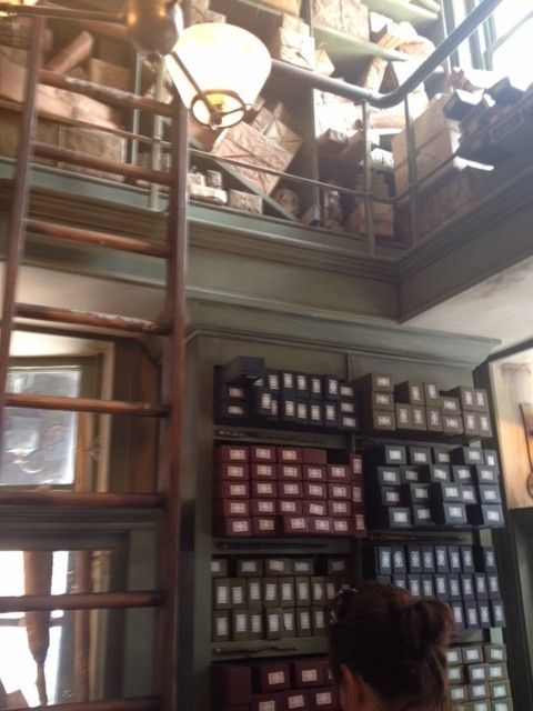 NWR: Anyone been to Universal's Harry Potter world?