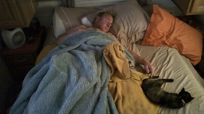 Cats!!!