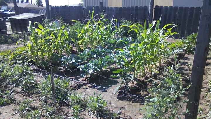 Something positive to think about! What do you do to . . .