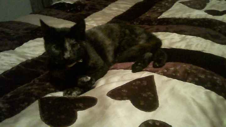 Meet the newest addition to our family!