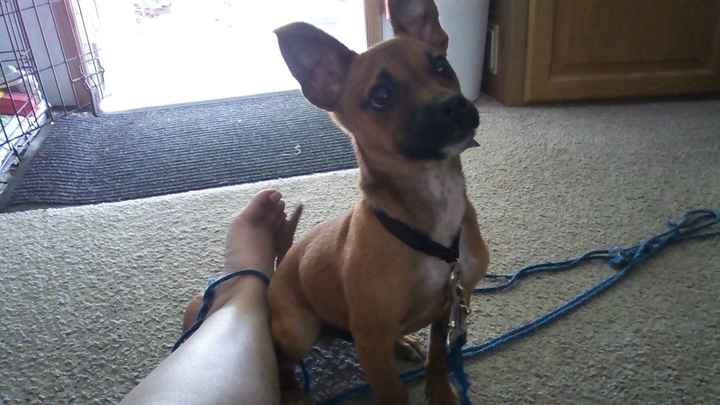 Meet the newest addition to our family!