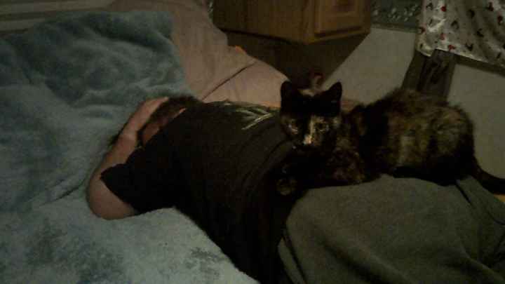 Just for fun, lets see your crazy pet child....