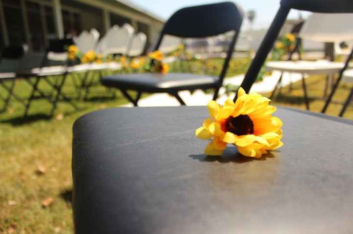 pro pic's............