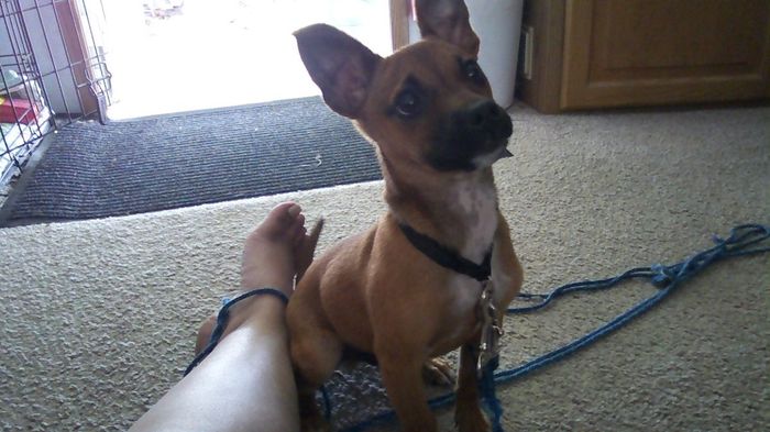 Meet the newest addition to our family!