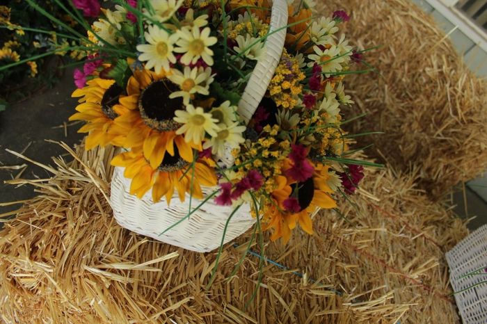 pro pic's............