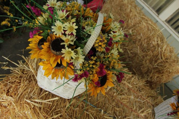 pro pic's............