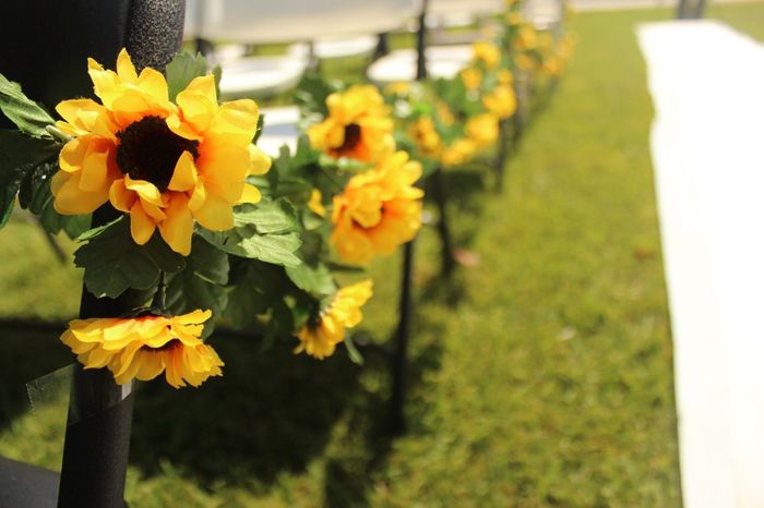 pro pic's............