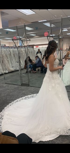 Remove tulle from ballgown dress? 1