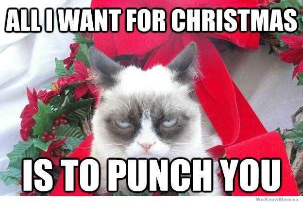 NWR: I love Christmas but this cat is too funny
