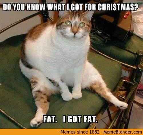 NWR: I love Christmas but this cat is too funny