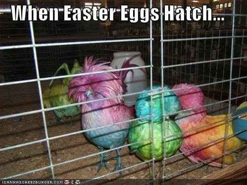 Happy Easter Meme!
