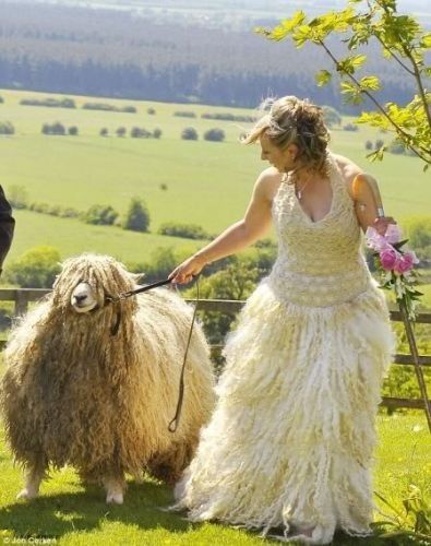 Google "funny wedding pic" or "horrible wedding pic" and post your favorite that popped up!