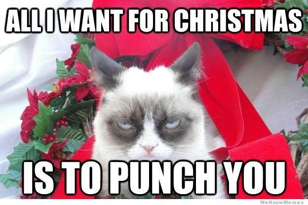 NWR: I love Christmas but this cat is too funny