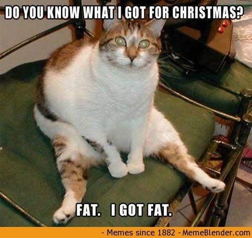 NWR: I love Christmas but this cat is too funny