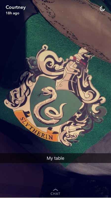 BAS!!! My Harry Potter themed shower!