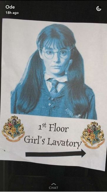BAS!!! My Harry Potter themed shower!
