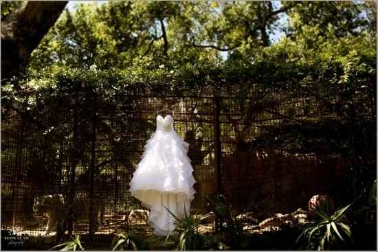 Just for fun: Dream Wedding/ Venues