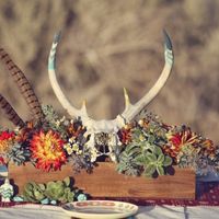 Having a hard time choosing colors..