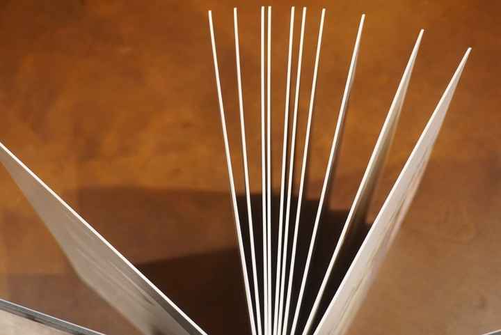 Professional Wedding Album Question