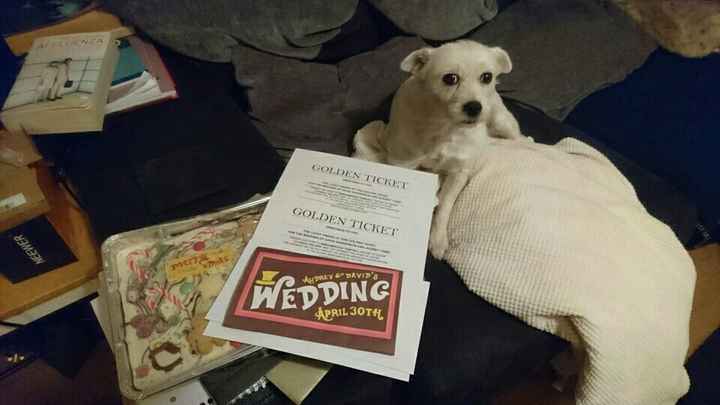 Show me your invitations!