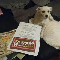 Show me your invitations!