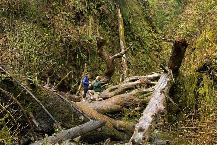 SPIN OFF: How did you respond when FH proposed?