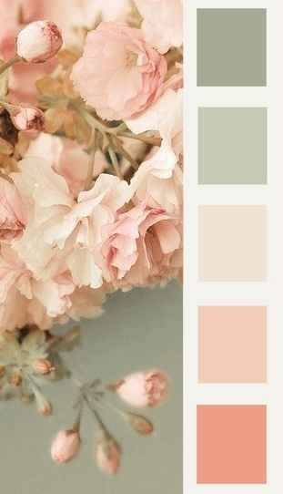 Color Palette