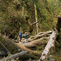 SPIN OFF: How did you respond when FH proposed?