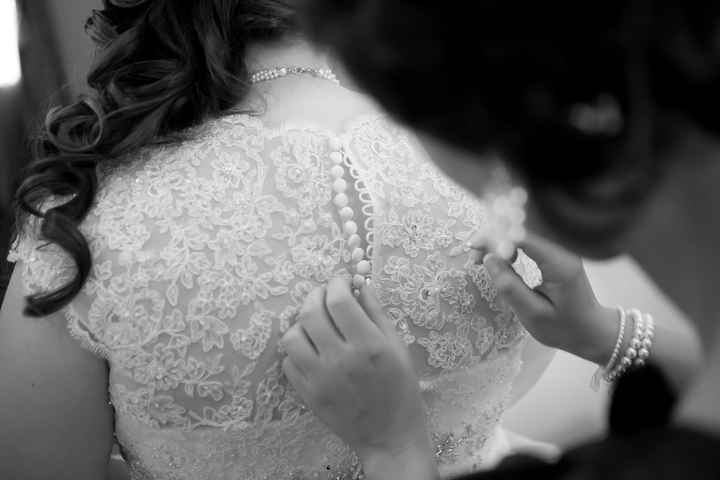 Pro Pics Are In ~Pic Heavy~