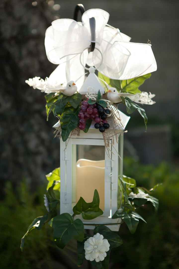 Pro Pics Are In ~Pic Heavy~