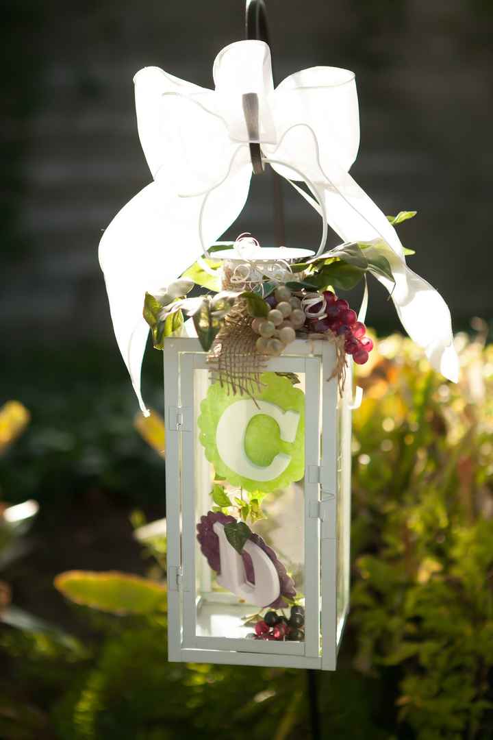 Pro Pics Are In ~Pic Heavy~