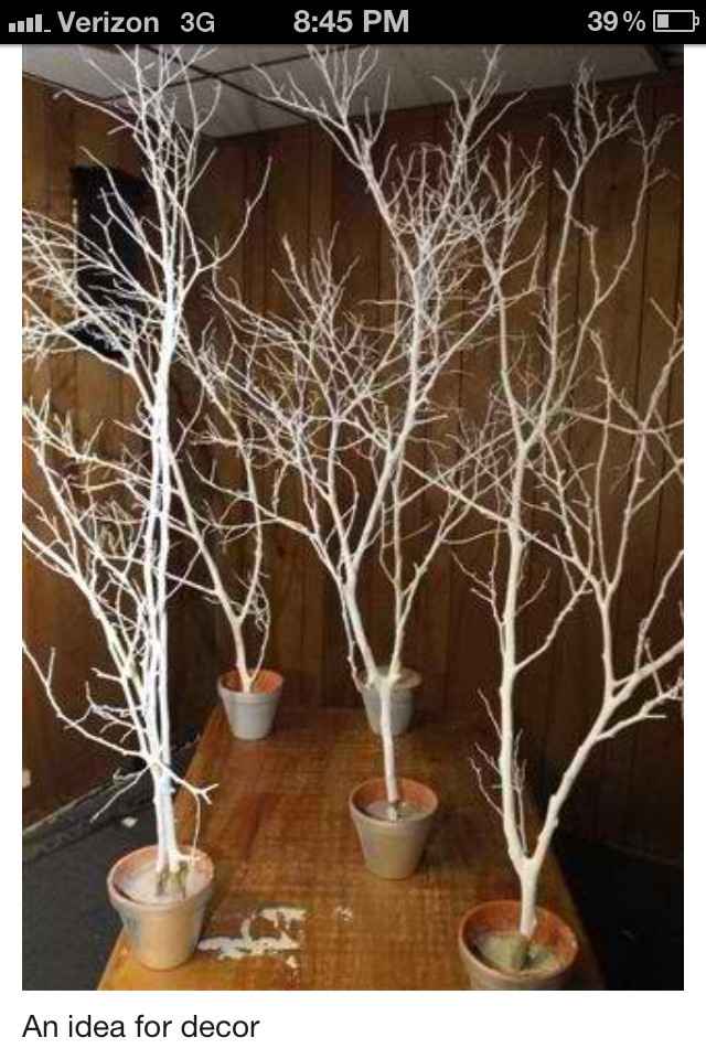 backyard wedding on 700 budget