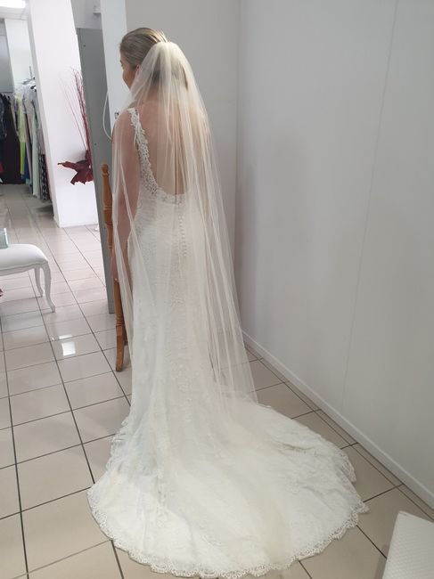 Veil or No Veil? - 1