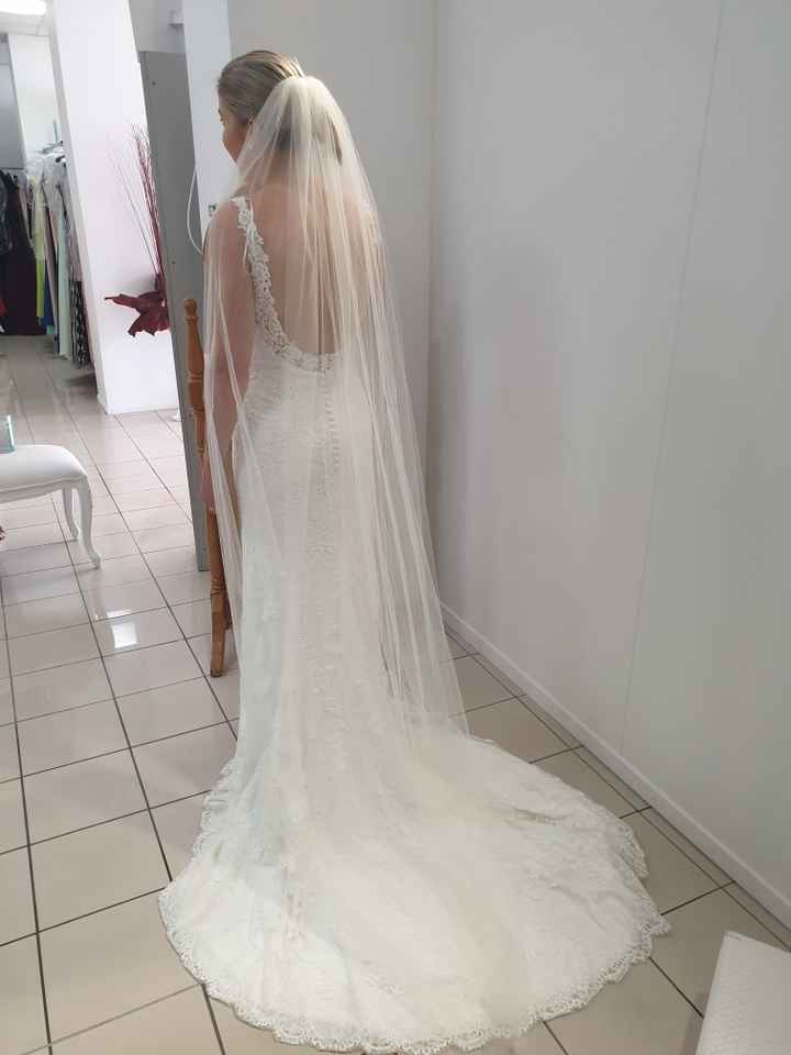 Veil or No Veil? - 1