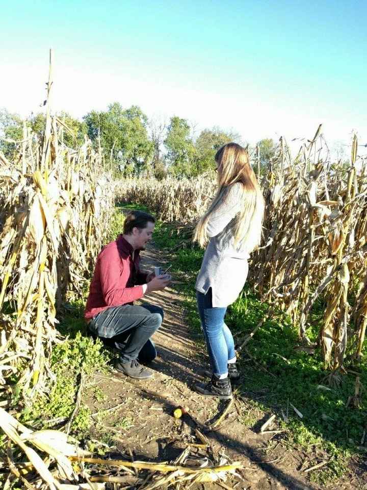 Joining the WW planning party