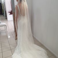 Veil or No Veil? - 1