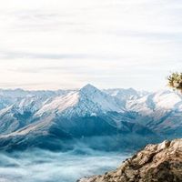 Mother of the Bride wear 2019 - 1