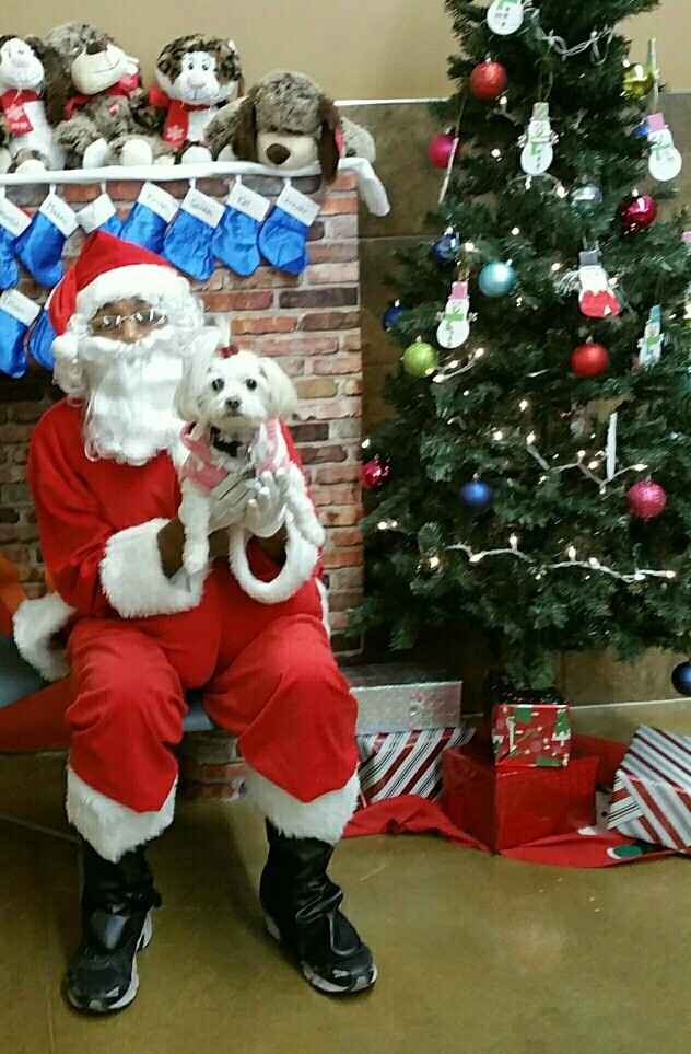 NWR: Show me your holiday spirit pets!