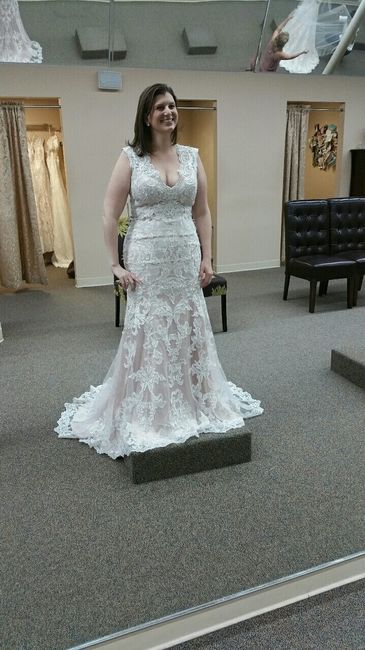 Need honest opinions on this dress