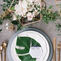 Blush/gold vs rose gold