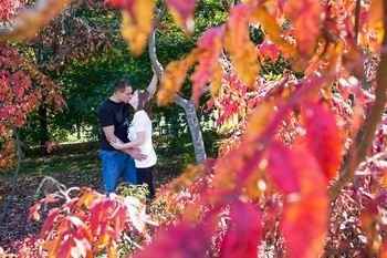 Engagement Pictures (sneak peek)