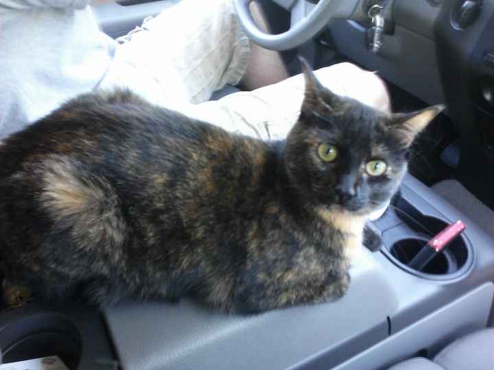 I'm in need of a post like this! {POST YOUR PICS!}