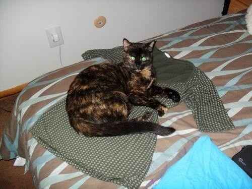 Since its Friday....