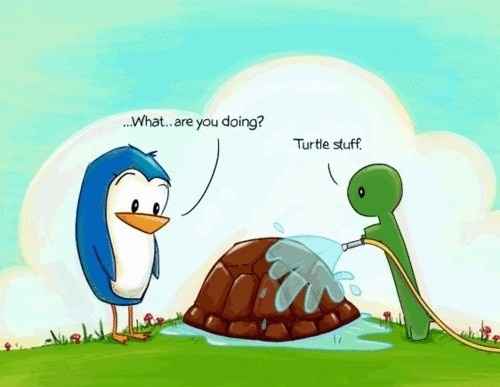 Requisit Friday Animal Thread